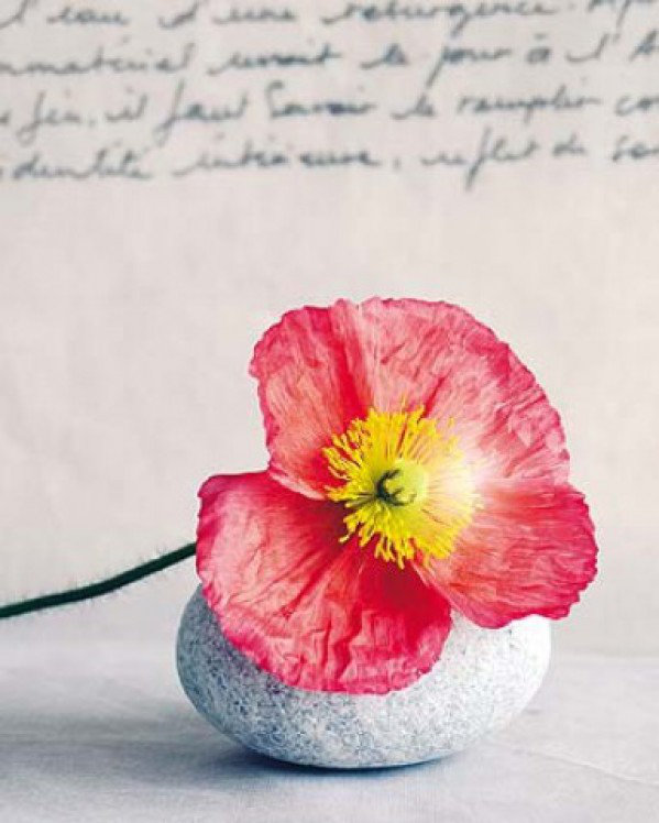 1Art1 Amélie Vuillon Art Prints Wayfair.co.uk